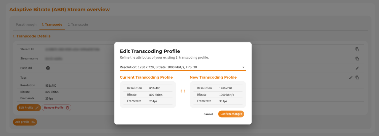 Screenshot: Edit Transcoding Profile