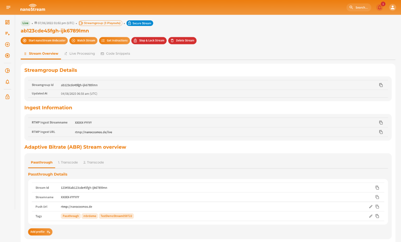 Screenshot: Single Stream View