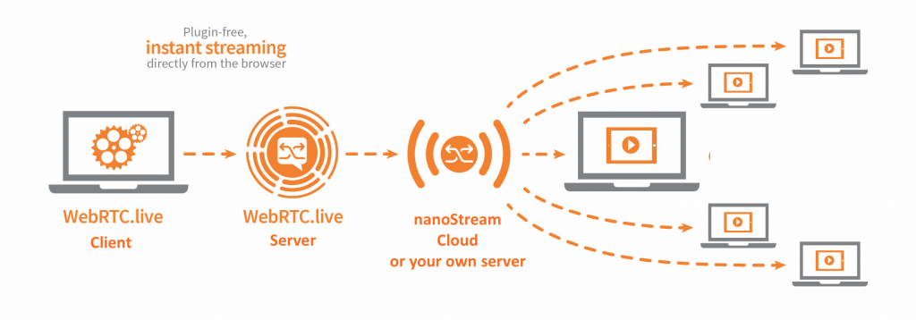 Infographic: Webcaster Workflow